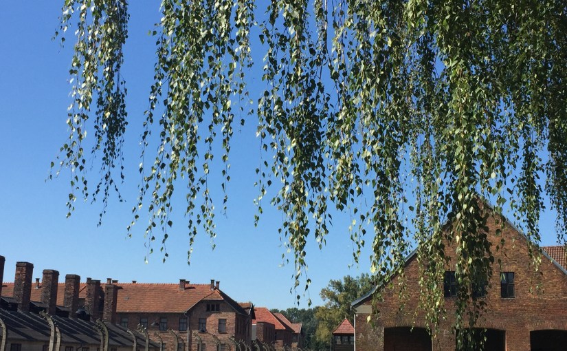 A glimpse at&nbsp;Auschwitz