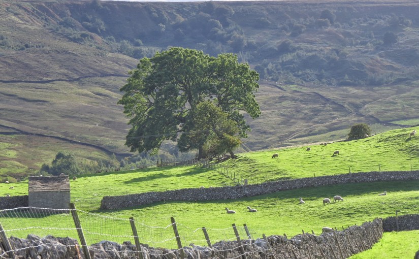 Little Leeds Layover